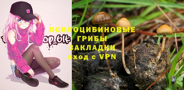 прущая мука Алексин